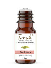 Load image into Gallery viewer, Cardamom (India) essential oil (Elettaria cardamomum)