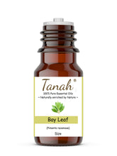 Load image into Gallery viewer, Bay Leaf (West Indies) essential oil (Pimenta racemosa) | Tanah Essential Oil Company