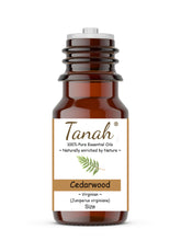 Load image into Gallery viewer, Cedarwood, Virginian (Canada) essential oil (Juniperus virginiana) | Tanah Essential Oil Company