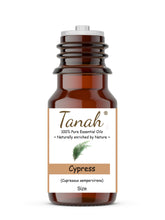Load image into Gallery viewer, Cypress (France) essential oil (Cupressus sempervirens) | Tanah Essential Oil Company