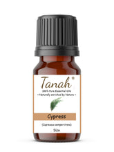 Load image into Gallery viewer, Cypress (France) essential oil (Cupressus sempervirens) | Where to buy? Tanah Essential Oil Company | Retail | Wholesale | Australia