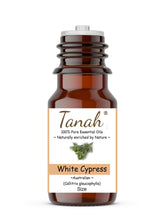 Load image into Gallery viewer, Cypress Leaf, White (Australia) essential oil (Callitris glaucophylla) | Tanah Essential Oil Company