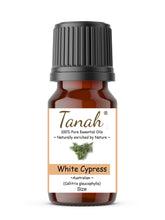 Load image into Gallery viewer, Cypress Leaf, White (Australia) essential oil (Callitris glaucophylla) | Where to buy? Tanah Essential Oil Company | Retail | Wholesale | Australia