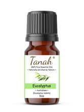 Load image into Gallery viewer, Eucalyptus, Radiata (Australia) essential oil (Eucalyptus radiata) | Where to buy? Tanah Essential Oil Company | Retail | Wholesale | Australia