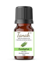 Load image into Gallery viewer, Eucalyptus, Blue Gum (Australia) essential oil (Eucalyptus globulus) | Where to buy? Tanah Essential Oil Company | Retail | Wholesale | Australia