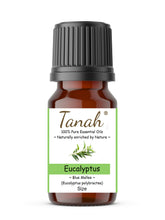 Load image into Gallery viewer, Eucalyptus, Blue Mallee (Australia) essential oil (Eucalyptus polybractea) | Where to buy? Tanah Essential Oil Company | Retail | Wholesale | Australia