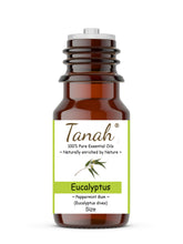 Load image into Gallery viewer, Eucalyptus, Peppermint Gum (Australia) essential oil (Eucalyptus dives) | Tanah Essential Oil Company