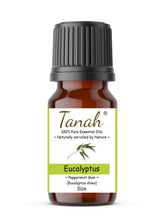 Load image into Gallery viewer, Eucalyptus, Peppermint Gum (Australia) essential oil (Eucalyptus dives) | Where to buy? Tanah Essential Oil Company | Retail | Wholesale | Australia