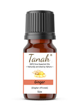 Load image into Gallery viewer, Ginger (China) essential oil (Zingiber Officinale) | Where to buy? Tanah Essential Oil Company | Retail | Wholesale | Australia