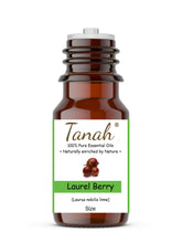 Load image into Gallery viewer, Laurel Berry (Turkey) essential oil (Laurus nobilis linne) | Tanah Essential Oil Company