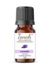 Load image into Gallery viewer, Lavender (Australia) essential oil (Lavandula angustifolia) | Where to buy? Tanah Essential Oil Company | Retail | Wholesale | Australia