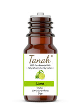 Load image into Gallery viewer, Lime (Italy) essential oil (Citrus aurantifolia) | Tanah Essential Oil Company