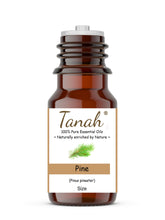 Load image into Gallery viewer, Pine (America) essential oil (Pinus pinaster) | Tanah Essential Oil Company