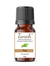 Load image into Gallery viewer, Pine (America) essential oil (Pinus pinaster) | Where to buy? Tanah Essential Oil Company | Retail | Wholesale | Australia
