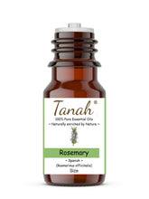 Load image into Gallery viewer, Rosemary (Spain) essential oil (Rosmarinus officinalis) | Tanah Essential Oil Company