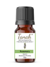 Load image into Gallery viewer, Rosemary (Spain) essential oil (Rosmarinus officinalis) | Where to buy? Tanah Essential Oil Company | Retail | Wholesale | Australia