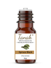 Load image into Gallery viewer, Spruce Black (Canada) essential oil (Picea mariana) | Tanah Essential Oil Company