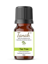 Load image into Gallery viewer, Tea Tree, Lemon Scented Gum (Australia) essential oil (Leptospermum petersonii) | Where to buy? Tanah Essential Oil Company | Retail | Wholesale | Australia