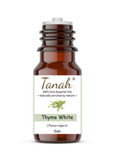 Load image into Gallery viewer, Thyme, White (France) essential oil (Thymus vulgaris) | Tanah Essential Oil Company