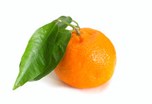 Load image into Gallery viewer, Tangerine (Italy) essential oil (Citrus reticulata blanco)
