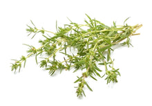 Load image into Gallery viewer, Thyme, White (France) essential oil (Thymus vulgaris)