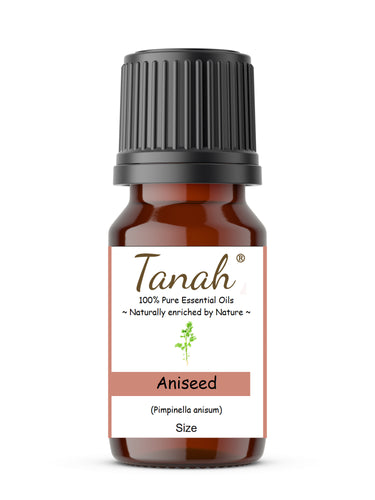 Aniseed (India) essential oil (Pimpinella anisum) | Where to buy? Tanah Essential Oil Company | Retail |  Wholesale | Australia