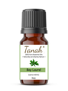 Bay Laurel (Morocco) essential oil (Laurus Nobilis) | | Where to buy? Tanah Essential Oil Company | Retail |  Wholesale | Australia