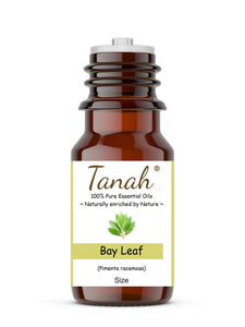 Bay Leaf (West Indies) essential oil (Pimenta racemosa) | Tanah Essential Oil Company