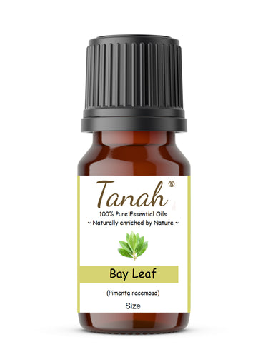 Bay Leaf (West Indies) essential oil (Pimenta racemosa) | Where to buy? Tanah Essential Oil Company | Retail |  Wholesale | Australia