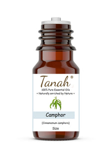 Camphor, White (China) essential oil (Cinnamomum Camphora) | Tanah Essential Oil Company