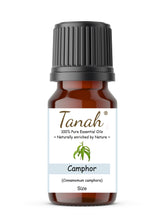 Load image into Gallery viewer, Camphor, White (China) essential oil (Cinnamomum Camphora) | Where to buy? Tanah Essential Oil Company | Retail |  Wholesale | Australia
