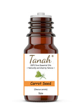 Load image into Gallery viewer, Carrot Seed (France) essential oil (Daucus carota) | Tanah Essential Oil Company
