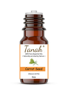 Carrot Seed (France) essential oil (Daucus carota) | Tanah Essential Oil Company