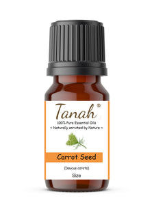 Carrot Seed (France) essential oil (Daucus carota) | Where to buy? Tanah Essential Oil Company | Retail |  Wholesale | Australia