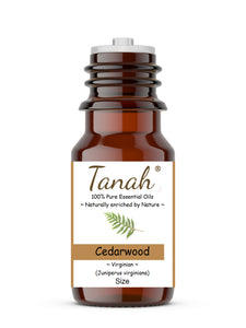 Cedarwood, Virginian (Canada) essential oil (Juniperus virginiana) | Tanah Essential Oil Company