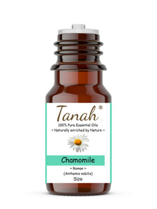 Chamomile, Roman (Italy) essential oil (Anthemis nobilis) | Tanah Essential Oil Company