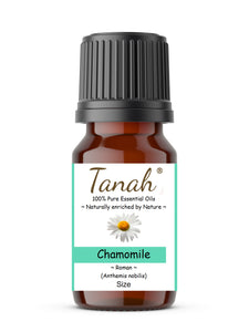 Chamomile, Roman (Italy) essential oil (Anthemis nobilis) | Where to buy? Tanah Essential Oil Company | Retail |  Wholesale | Australia