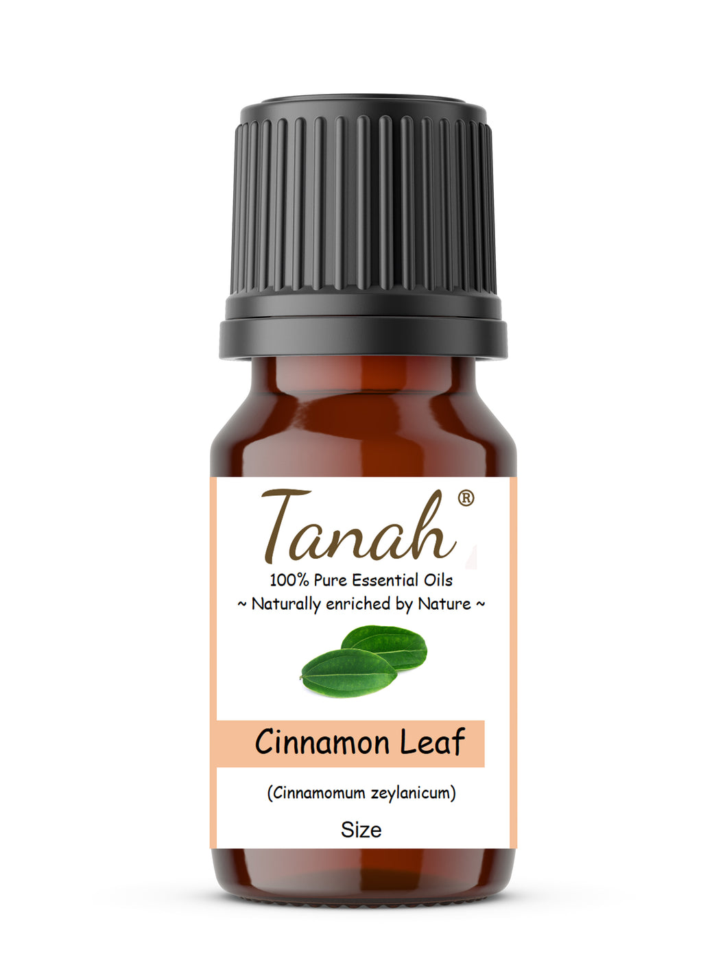 Cinnamon Leaf (Sri Lanka) essential oil (Cinnamomum zeylanicum) | Where to buy? Tanah Essential Oil Company | Retail |  Wholesale | Australia