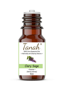 Clary Sage (Russia) essential oil (Salvia sclarea) | Tanah Essential Oil Company