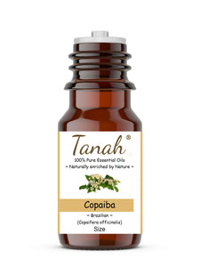 Copaiba Balsam (Brazil) essential oil (Copaifera officinalis) | Tanah Essential Oil Company