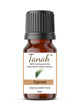 Load image into Gallery viewer, Cypress (France) essential oil (Cupressus sempervirens) | Where to buy? Tanah Essential Oil Company | Retail |  Wholesale | Australia

