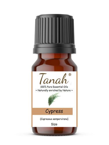 Cypress (France) essential oil (Cupressus sempervirens) | Where to buy? Tanah Essential Oil Company | Retail |  Wholesale | Australia