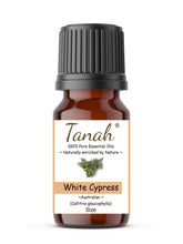 Load image into Gallery viewer, Cypress Leaf, White (Australia) essential oil (Callitris glaucophylla) | Where to buy? Tanah Essential Oil Company | Retail |  Wholesale | Australia
