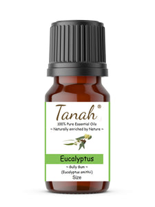 Eucalyptus, Gully Gum (Australia) essential oil (Eucalyptus smithii) | Where to buy? Tanah Essential Oil Company | Retail |  Wholesale | Australia