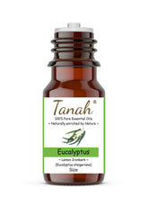 Load image into Gallery viewer, Eucalyptus, Lemon Ironbark (Australia) essential oil (Eucalyptus staigeriana) | Tanah Essential Oil Company
