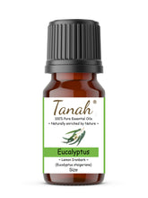 Load image into Gallery viewer, Eucalyptus, Lemon Ironbark (Australia) essential oil (Eucalyptus staigeriana) | Where to buy? Tanah Essential Oil Company | Retail |  Wholesale | Australia
