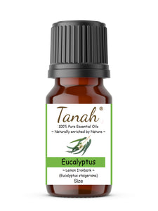 Eucalyptus, Lemon Ironbark (Australia) essential oil (Eucalyptus staigeriana) | Where to buy? Tanah Essential Oil Company | Retail |  Wholesale | Australia