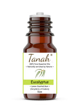 Load image into Gallery viewer, Eucalyptus, Lemon Scented Gum (Australia) essential oil (Corymbria citriodora) | Tanah Essential Oil Company
