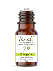 Eucalyptus, Lemon Scented Gum (Australia) essential oil (Corymbria citriodora) | Tanah Essential Oil Company