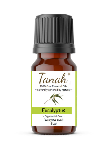 Eucalyptus, Peppermint Gum (Australia) essential oil (Eucalyptus dives) | Where to buy? Tanah Essential Oil Company | Retail |  Wholesale | Australia